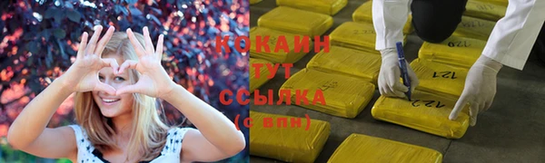 PSILOCYBIN Богородск