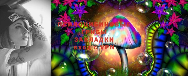 ПСИЛОЦИБИНОВЫЕ ГРИБЫ Богородицк